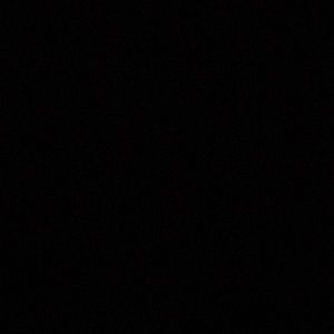 Meet your Posher, Jerry